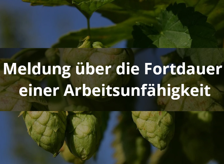 au_meldung_fortdauer.jpg