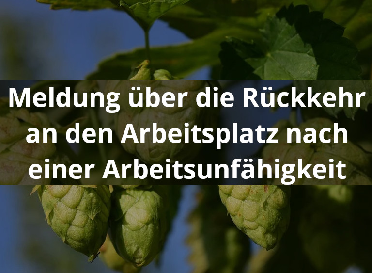 au_meldung_rueckkehr.jpg
