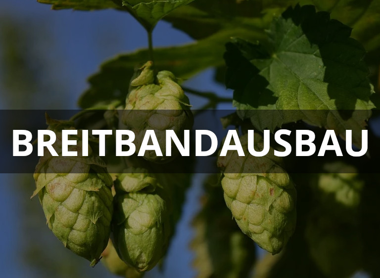 nandlstadt_platzhalter1.jpg