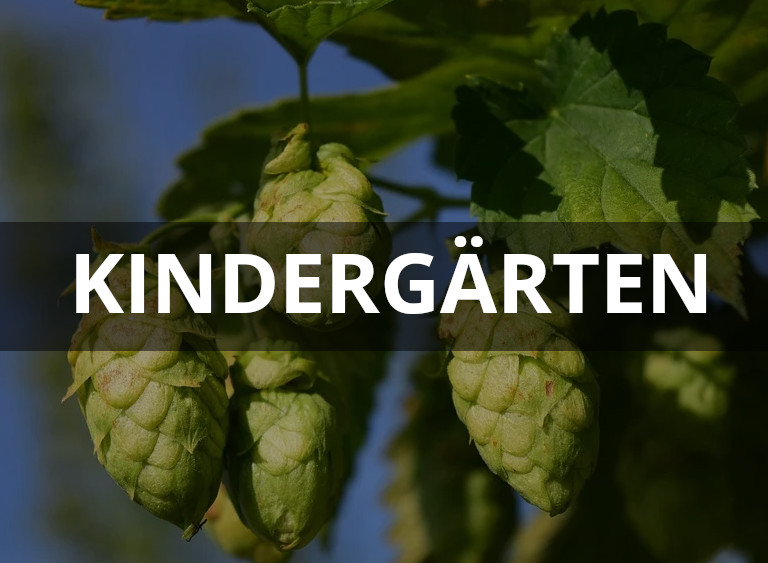 kinderjugend kachel kindergaerten