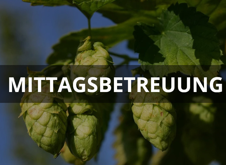 mittagsbetreuung.jpg