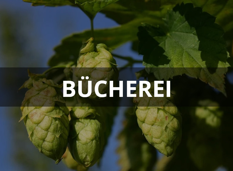 kultur kachel buecherei