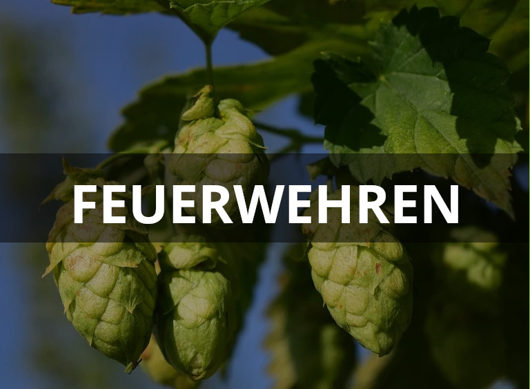 feuerwehren.jpg