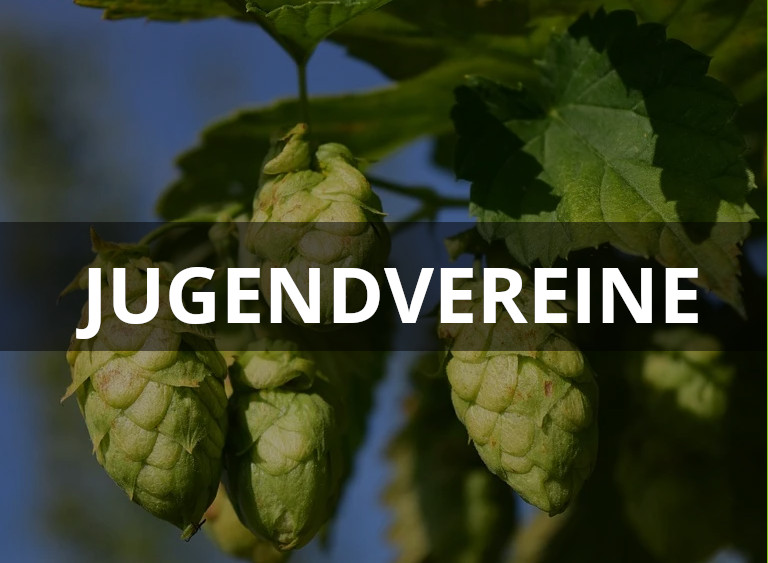 jugendvereine.jpg